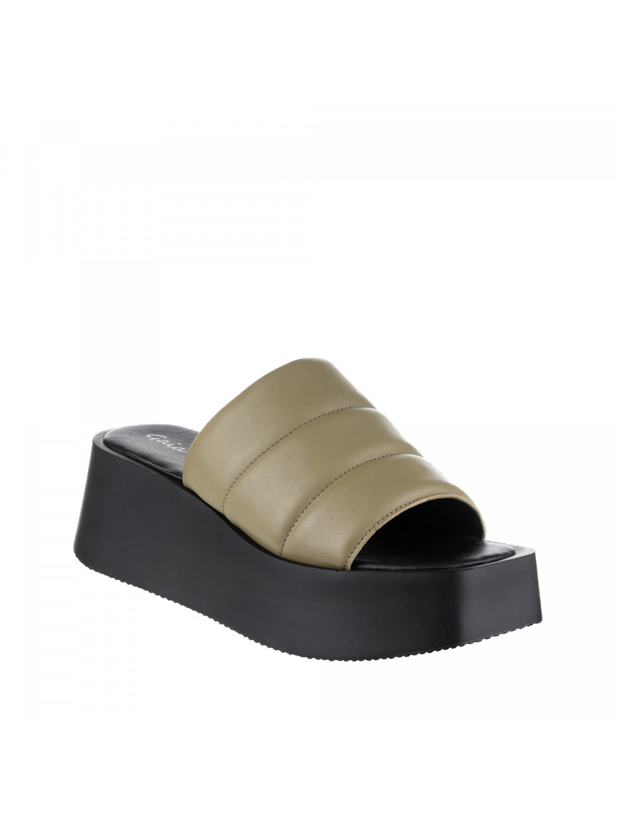 N74612 Maslinasto zelena 