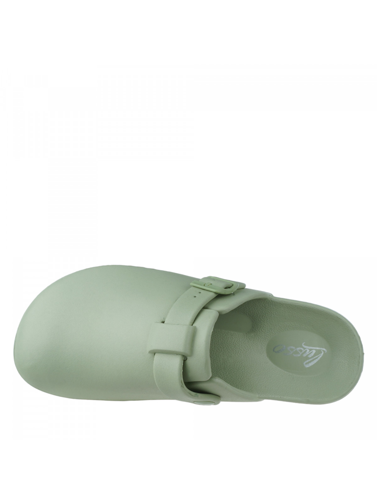 N79936 Zelena