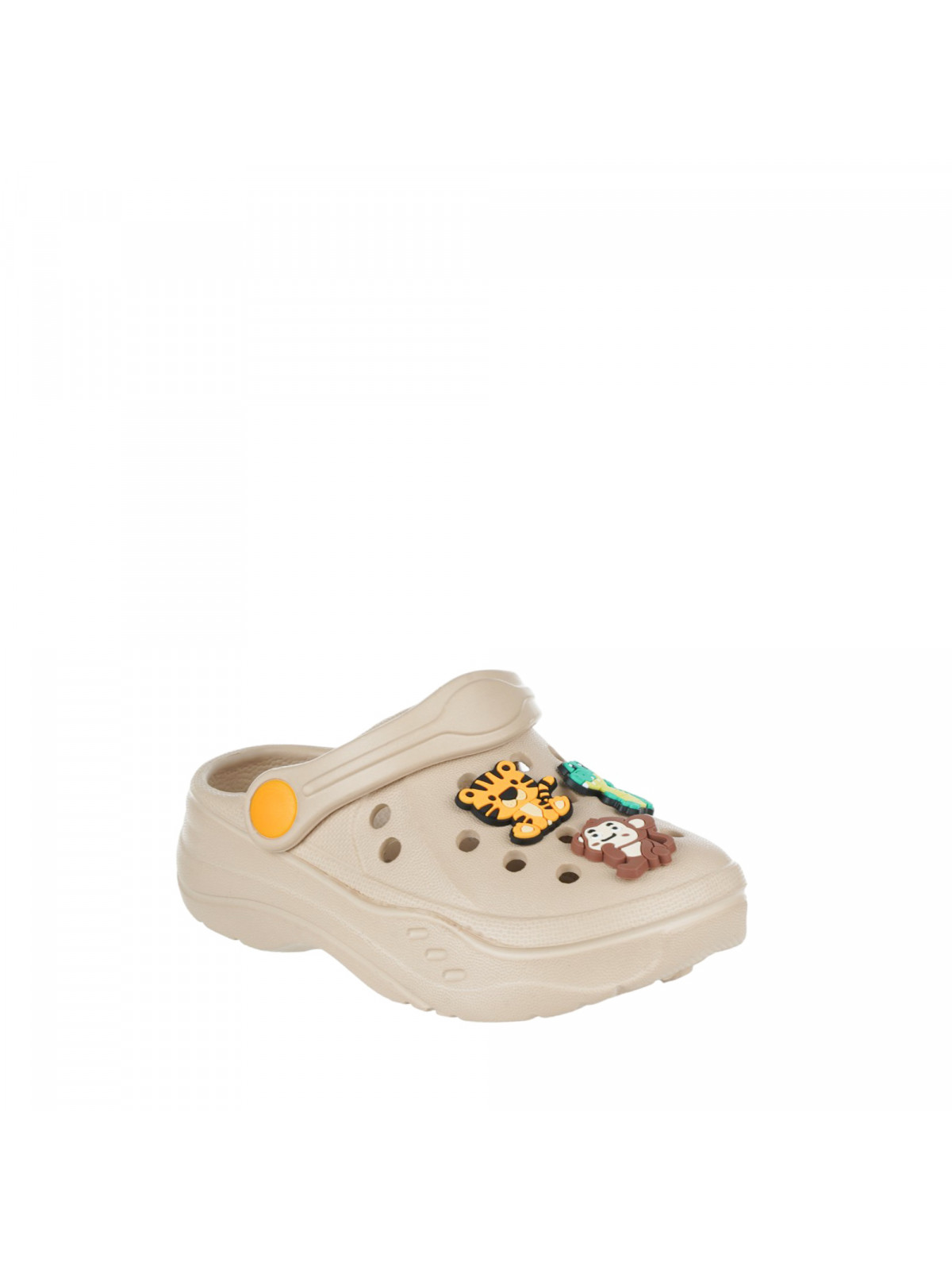 N80559 Braon-siva