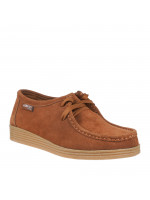 N78716 Braon-siva 