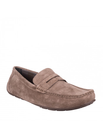 N76620 Braon-siva 