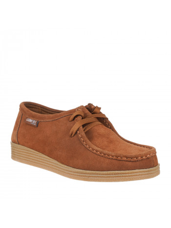 N78716 Braon-siva 