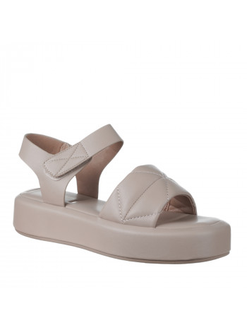 N78956 Braon-siva 