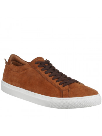 N80480 Kamel 