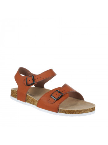 N80606 Kamel 