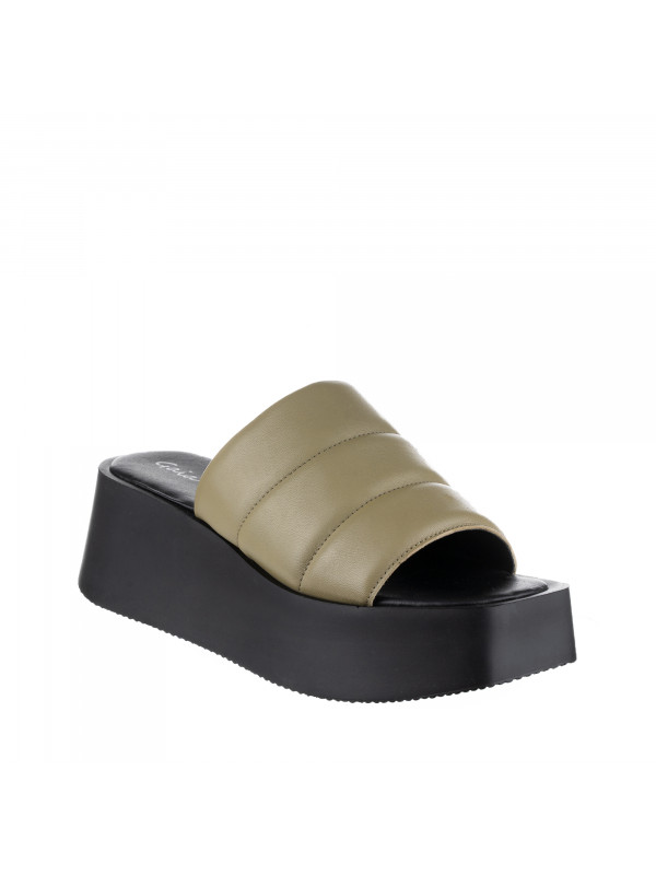 N74612 Maslinasto zelena 