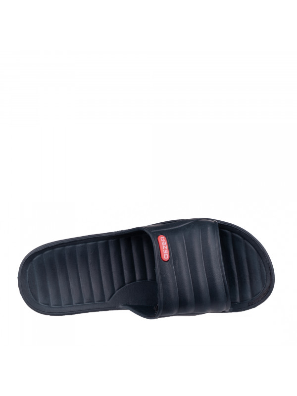N77974 Teget/Bela