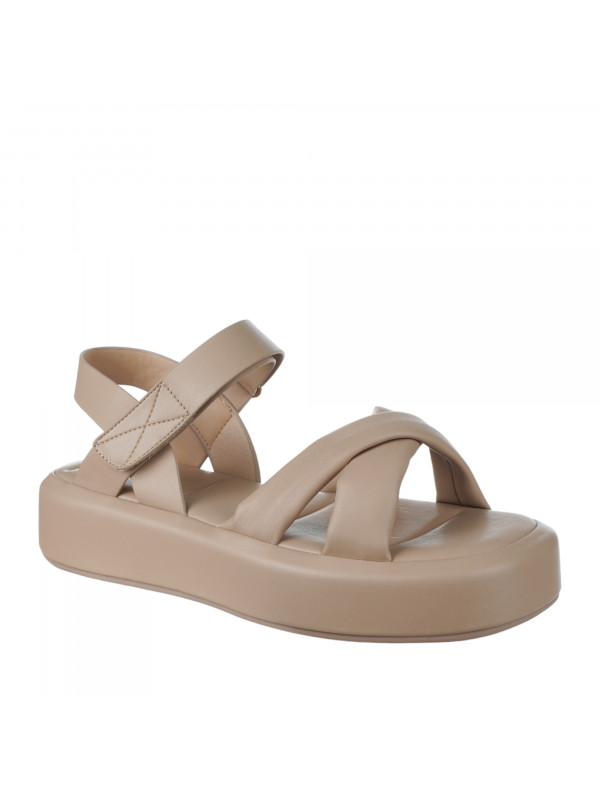 N78959 Braon-siva