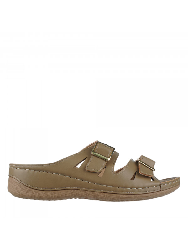N79012 Braon-siva 