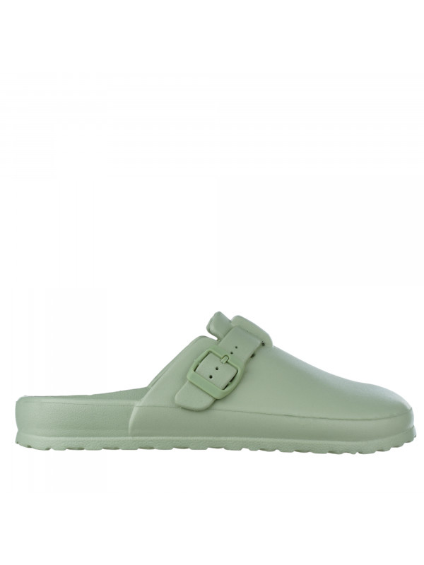 N79936 Zelena