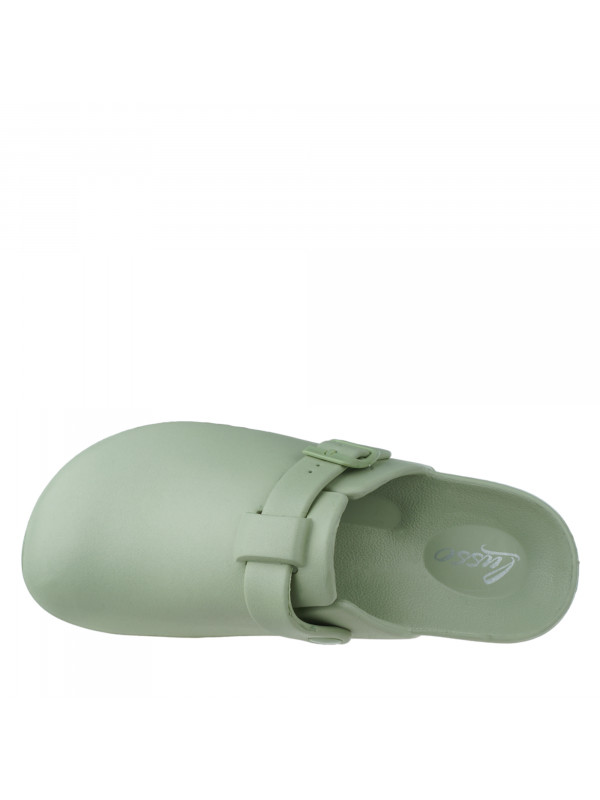 N79936 Zelena