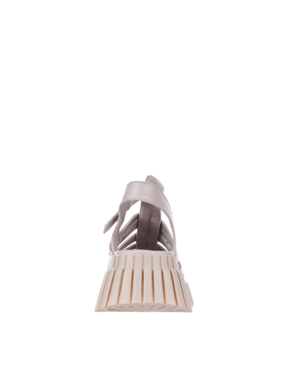 N80256 Braon-siva