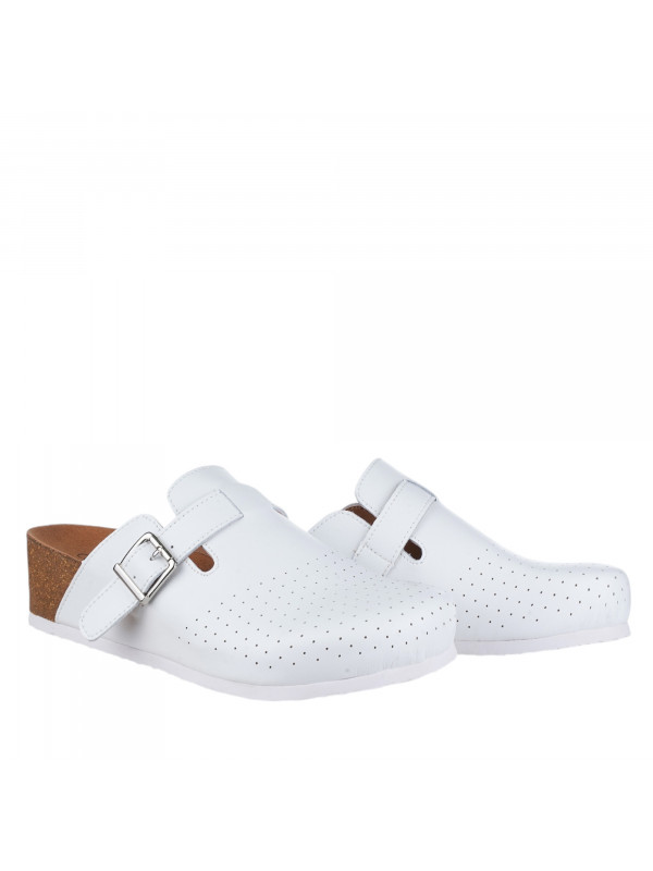 N81287 Bela